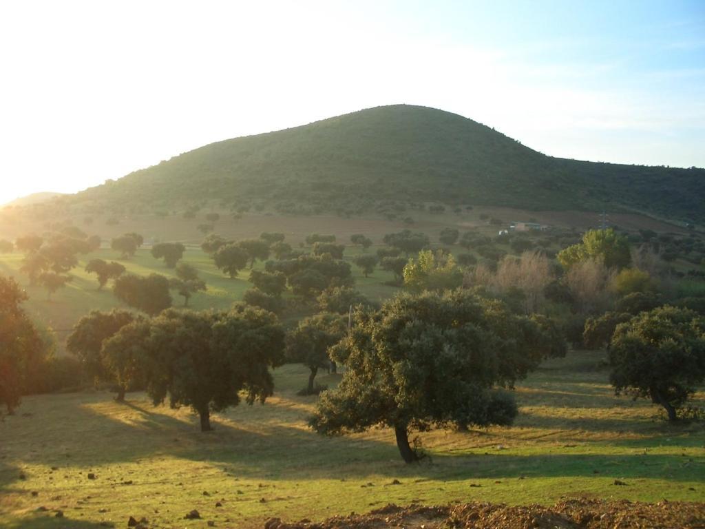 Cortijo El Criadero El Hoyo Pokoj fotografie