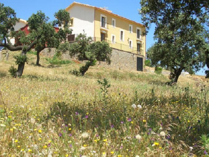 Cortijo El Criadero El Hoyo Exteriér fotografie